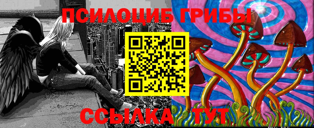 Псилоцибиновые грибы ЛСД  Вход с VPN  Зеленокумск 