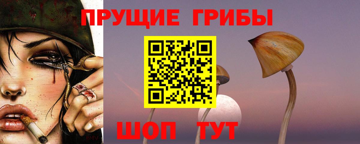 Галлюциногенные грибы GOLDEN TEACHER Зеленокумск